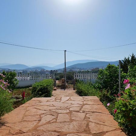 Vila Osmanaj Εξαμίλιο Εξωτερικό φωτογραφία